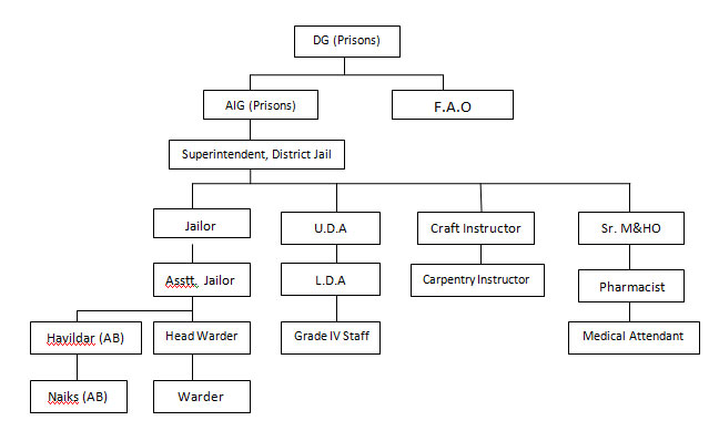Organisational Chart